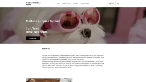 Screenshot of
