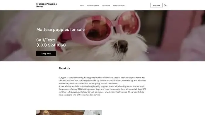 Screenshot of