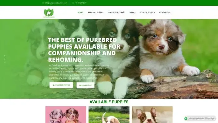 Screenshot of