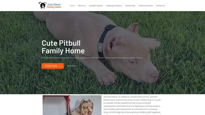 Screenshot of