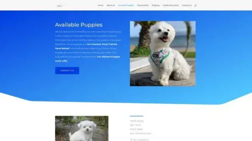 Screenshot of