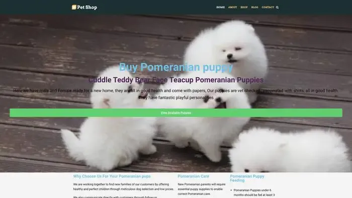 Screenshot of