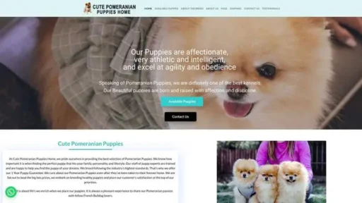 Screenshot of