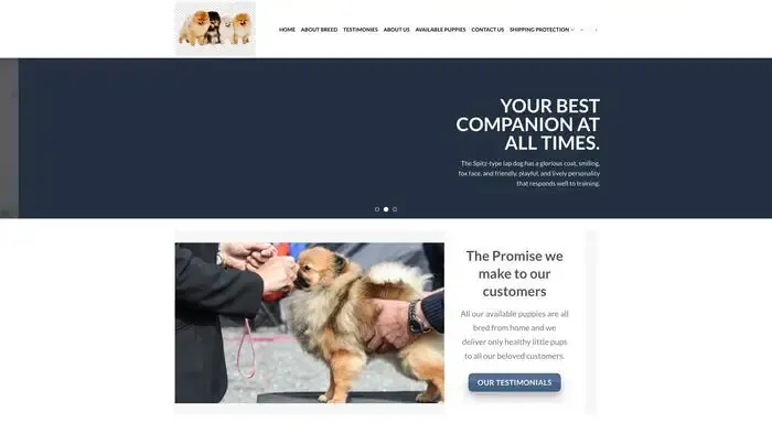Screenshot of