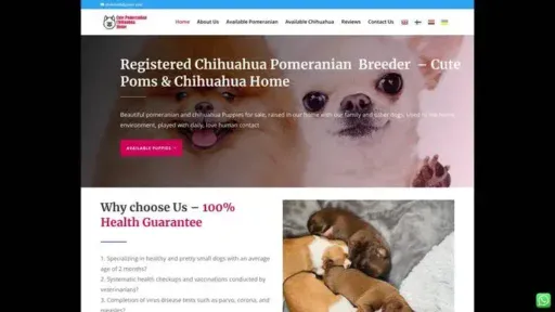 Screenshot of