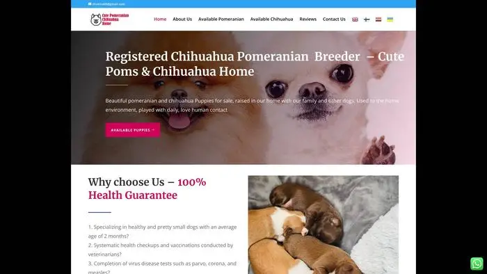Screenshot of