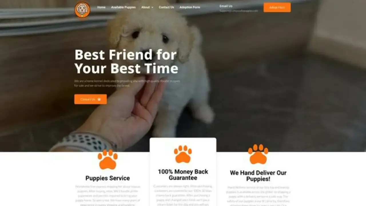 Screenshot of