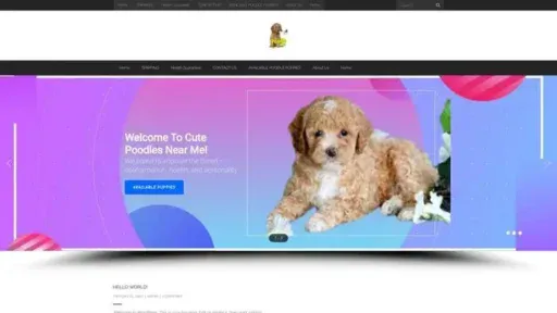 Screenshot of