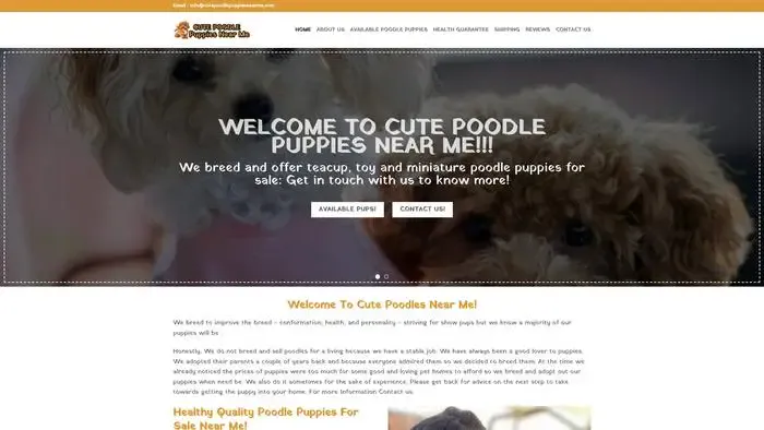 Screenshot of