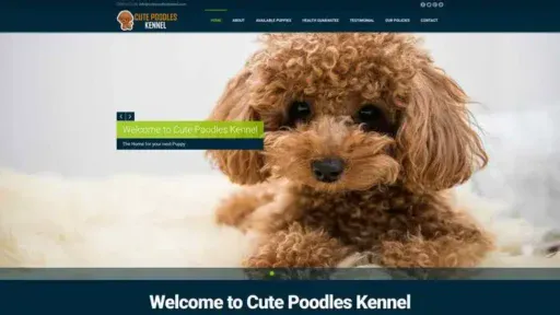 Screenshot of|