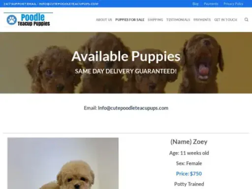Screenshot of