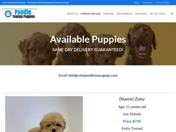 Screenshot of