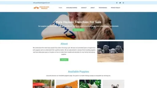 Screenshot of