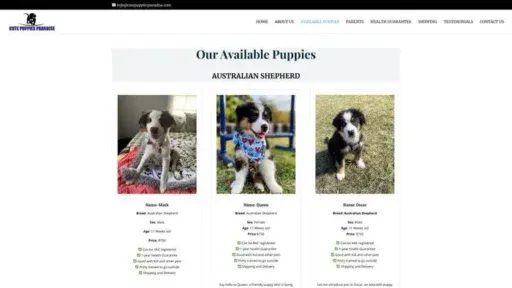 Screenshot of