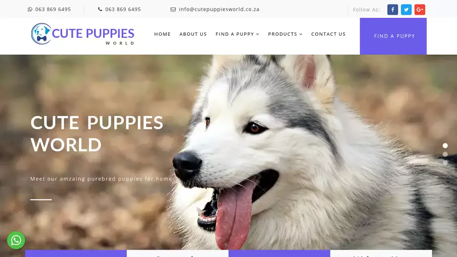 Screenshot of