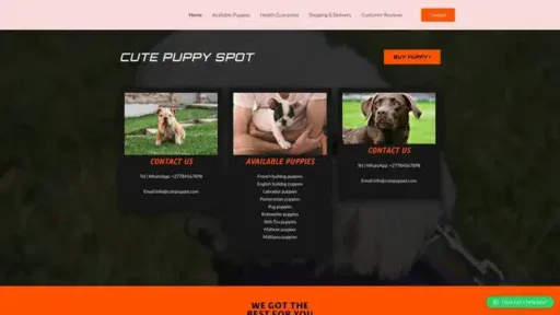 Screenshot of