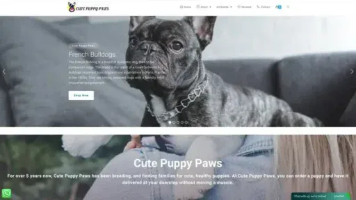 Screenshot of