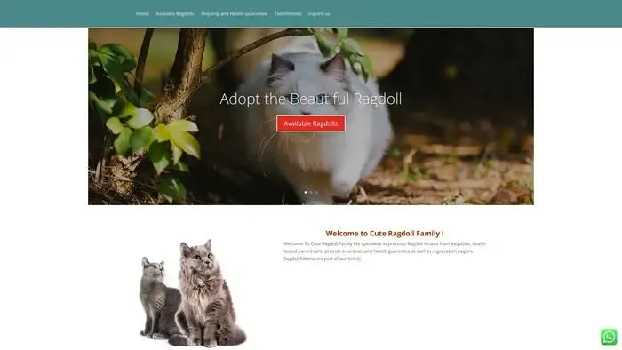 Screenshot of
