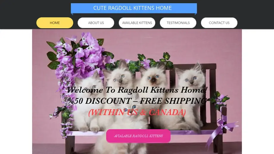 Screenshot of
