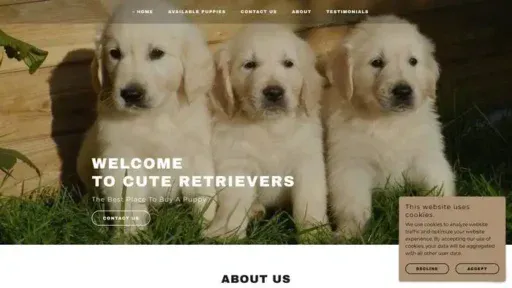Screenshot of