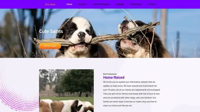 Screenshot of