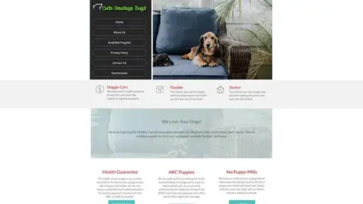 Screenshot of