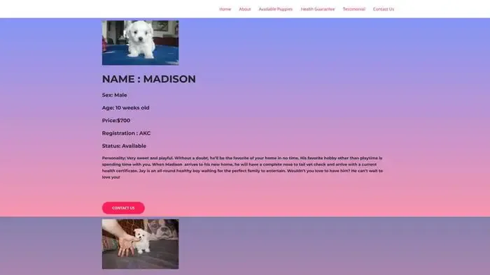 Screenshot of