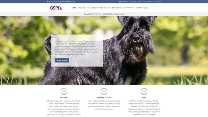 Screenshot of