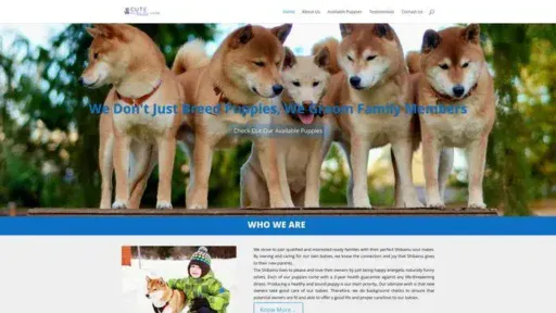 Screenshot of