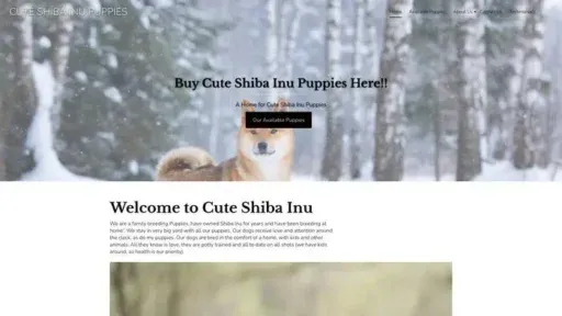 Screenshot of