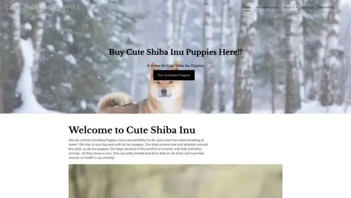 Screenshot of
