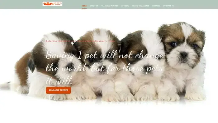Screenshot of