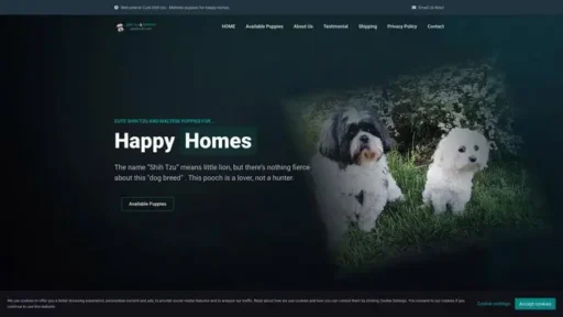 Screenshot of