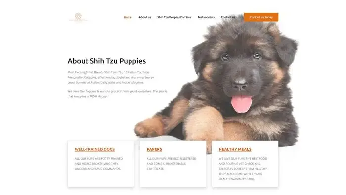 Screenshot of