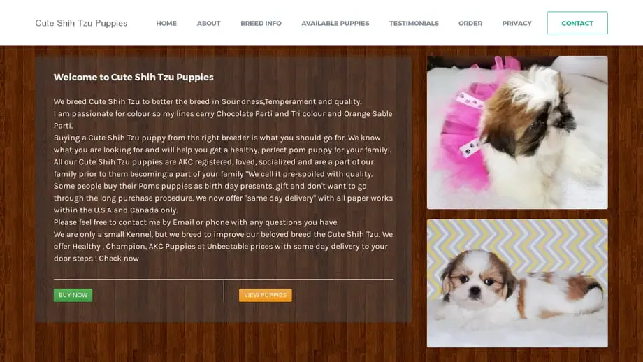 Screenshot of