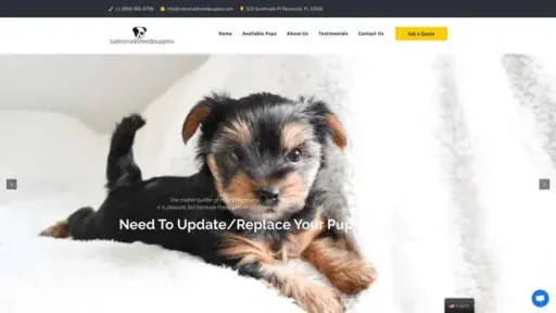 Screenshot of