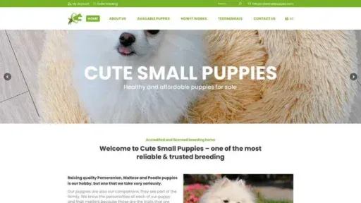 Screenshot of