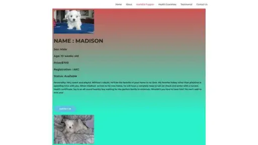 Screenshot of
