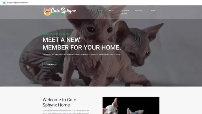 Screenshot of