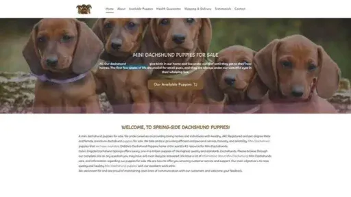 Screenshot of
