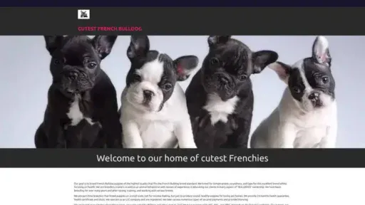 Screenshot of