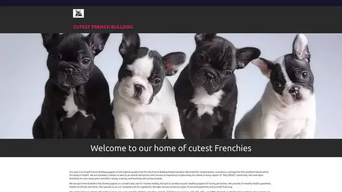Screenshot of