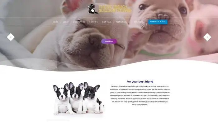 Screenshot of