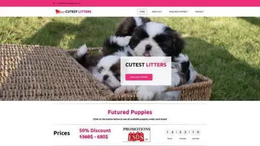 Screenshot of