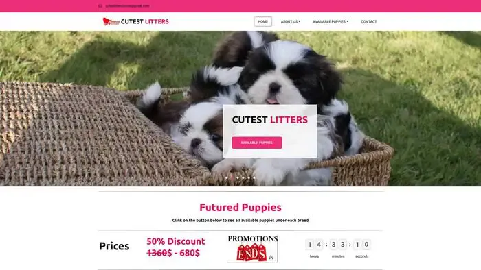 Screenshot of