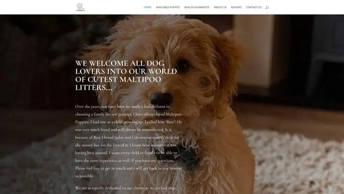 Screenshot of