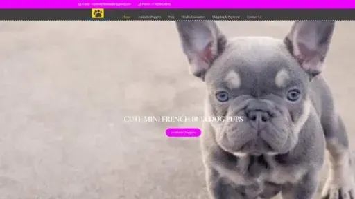Screenshot of