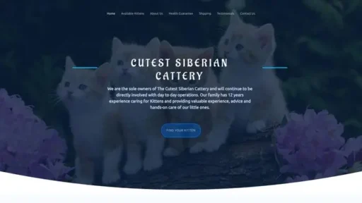 Screenshot of
