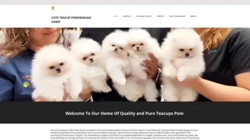 Screenshot of