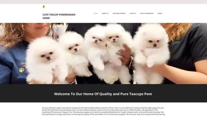 Screenshot of